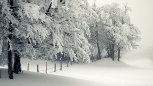 Community Photos Wallpapers