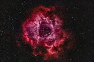 Editor's Choice Wallpapers