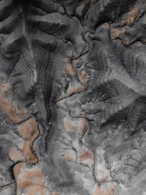 Editor's Choice - Editor's Choice Wallpaper