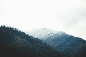 Editor's Choice Wallpapers