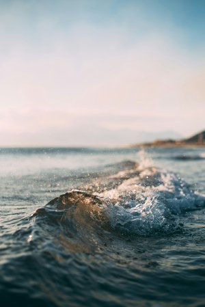 Editor's Choice Wallpapers