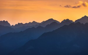 Editor's Choice Wallpapers