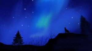 Community Photos Wallpapers