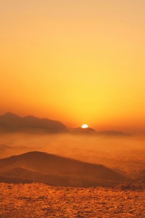 Editor's Choice Wallpapers