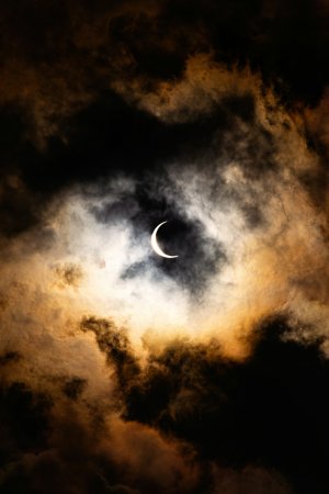 Editor's Choice Wallpapers