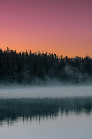 Editor's Choice Wallpapers