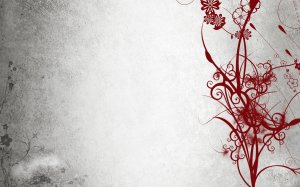 Community Photos Wallpapers