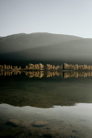 Editor's Choice Wallpapers