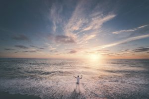 Editor's Choice Wallpapers