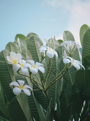 Editor's Choice - Editor's Choice Wallpaper