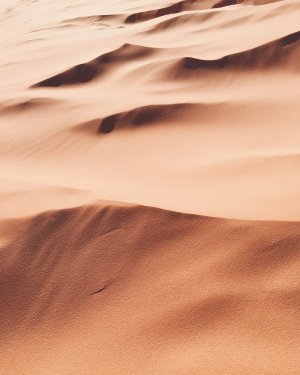 Editor's Choice Wallpapers