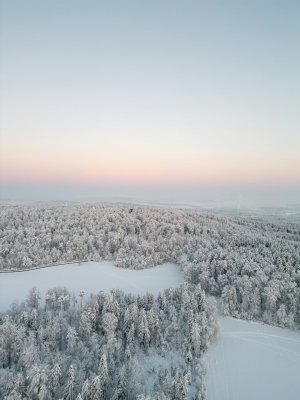 Editor's Choice Wallpapers